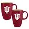 The Memory Company NCAA 20oz. Ceramic Team Color Tall Mugs, 2ct.